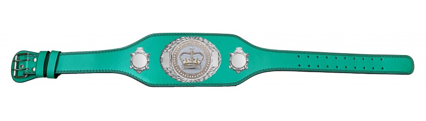 GRAPPLING CHAMPIONSHIP BELT-BUD295/S/GRAPS-4 COLOURS